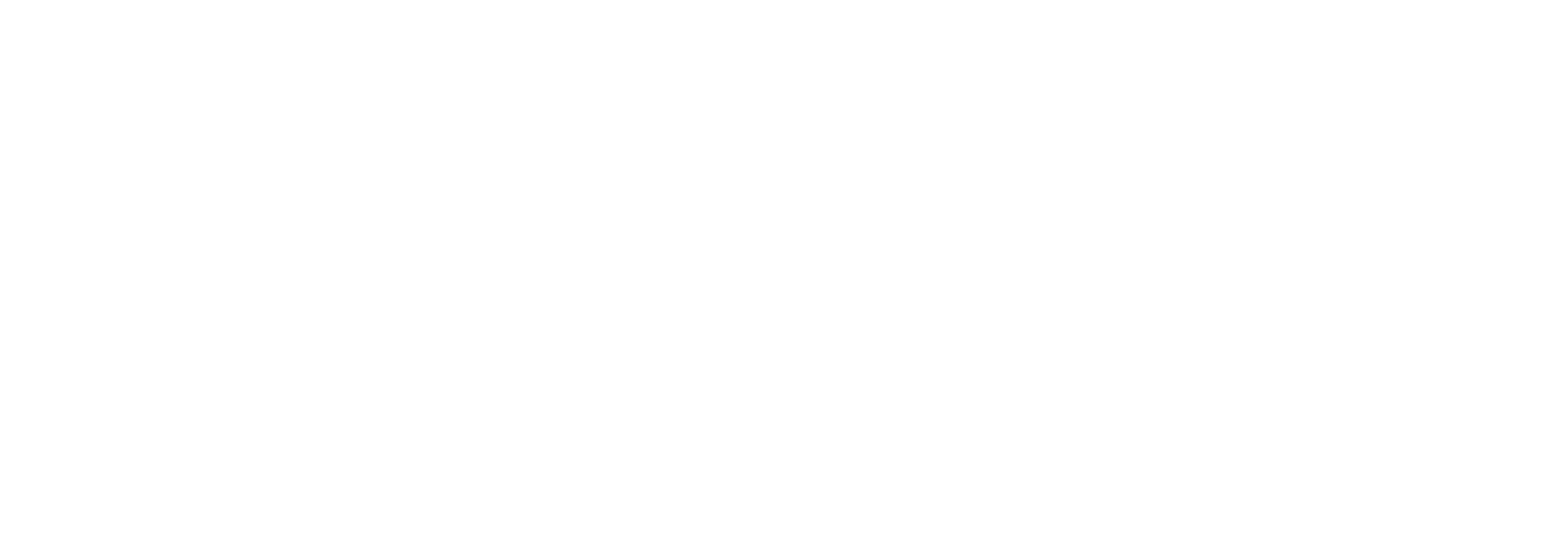 Notion Notion