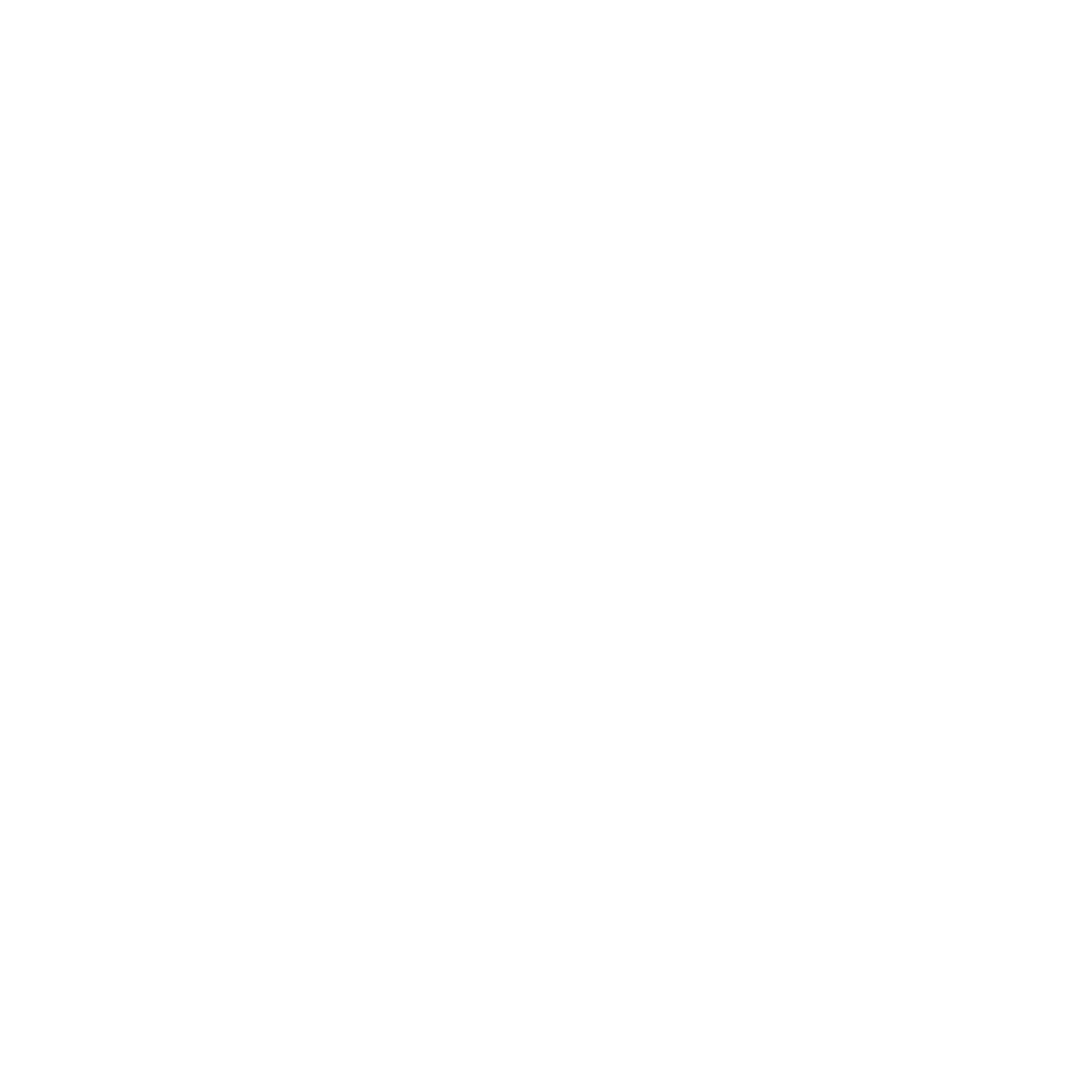 startupprogram-icon-rise startupprogram-icon-rise