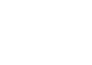 Salestrip