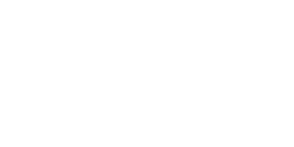 Shuttle