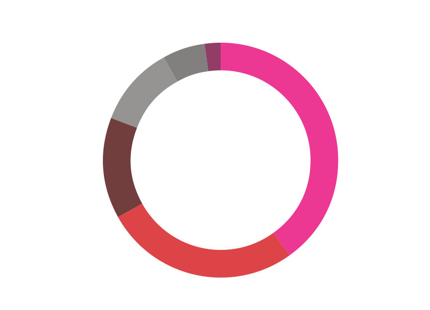 Latam19-Company-size Latam19-Company-size