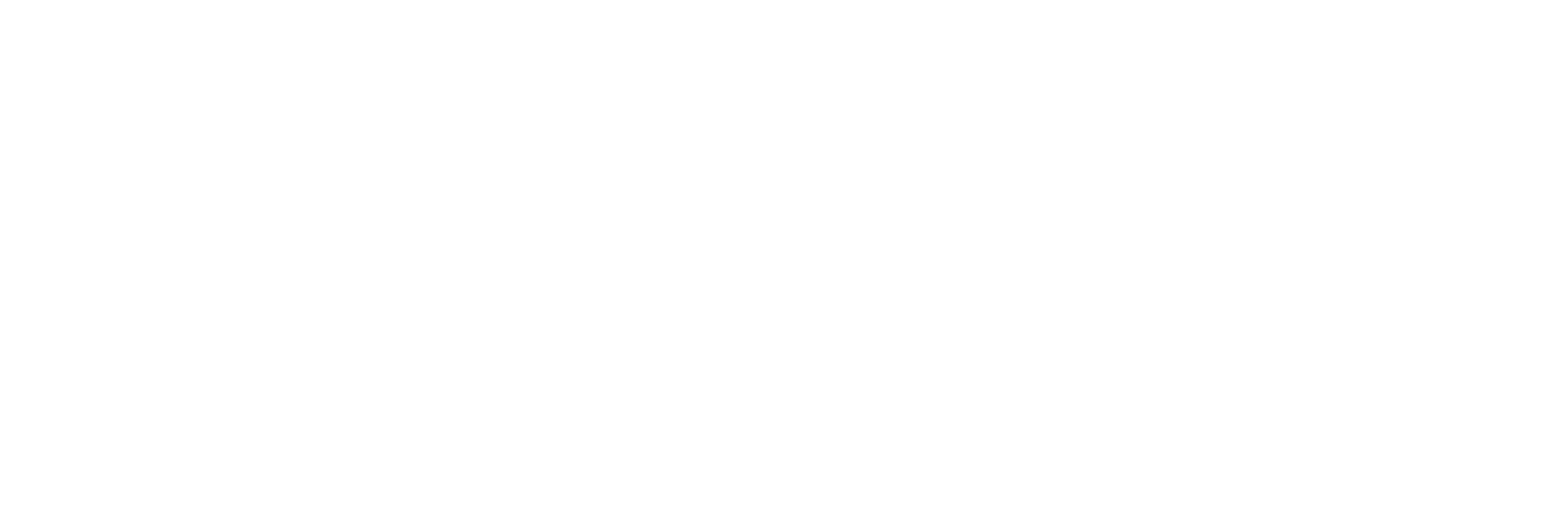 Zendesk-White Zendesk-White