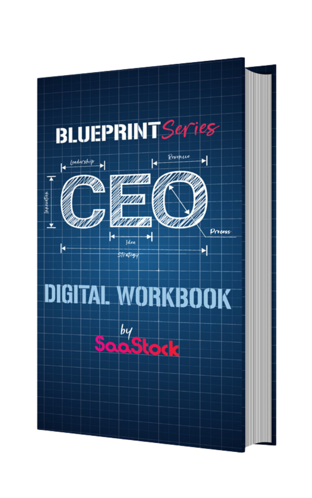 CEO Digital Workbook CEO Digital Workbook