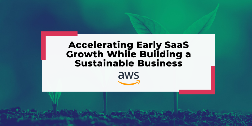 Building Sustainable Organic Growth Programs for B2B Software Companies