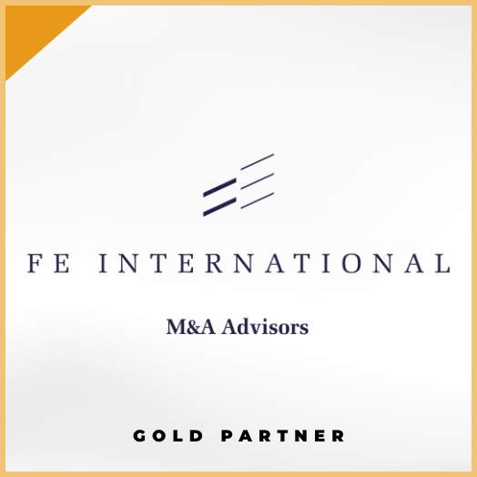 FE International